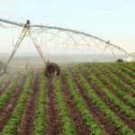 Irrigation systems